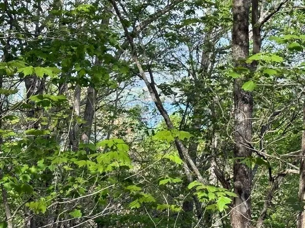 0 Mining Gap Rd, Young Harris, GA 30582
