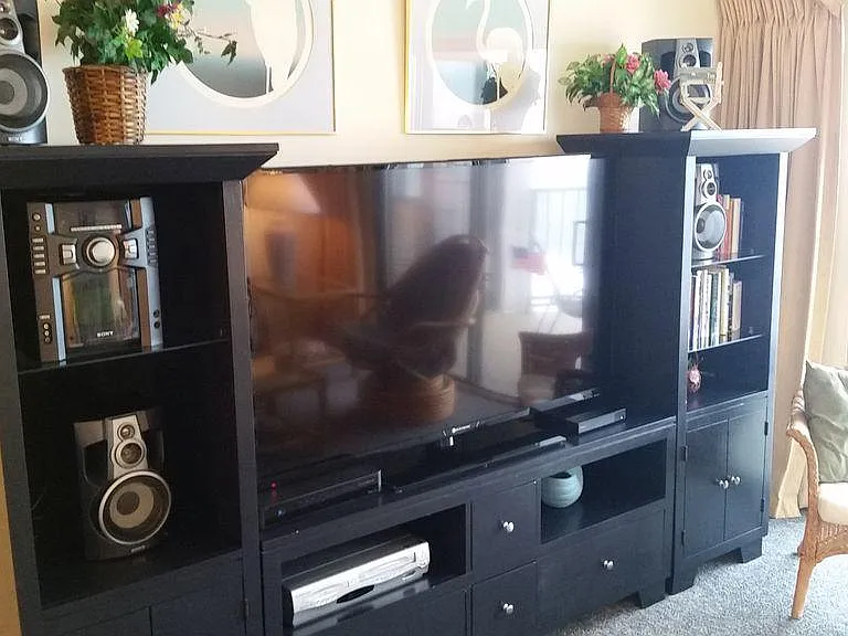 Entertainment center