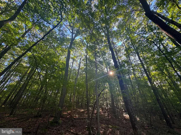 TRACT Two S Teter Creek Rd, Belington, WV 26250
