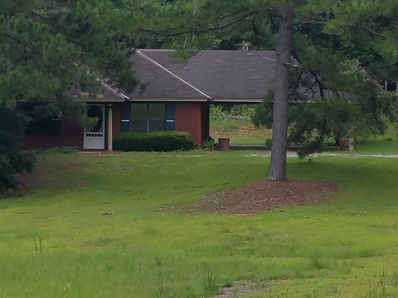 1558 County Road 7703, Ramer, AL 36069 Zillow