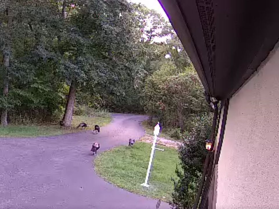 25 Tad Ln, Cohasset, MA 02025 Zillow