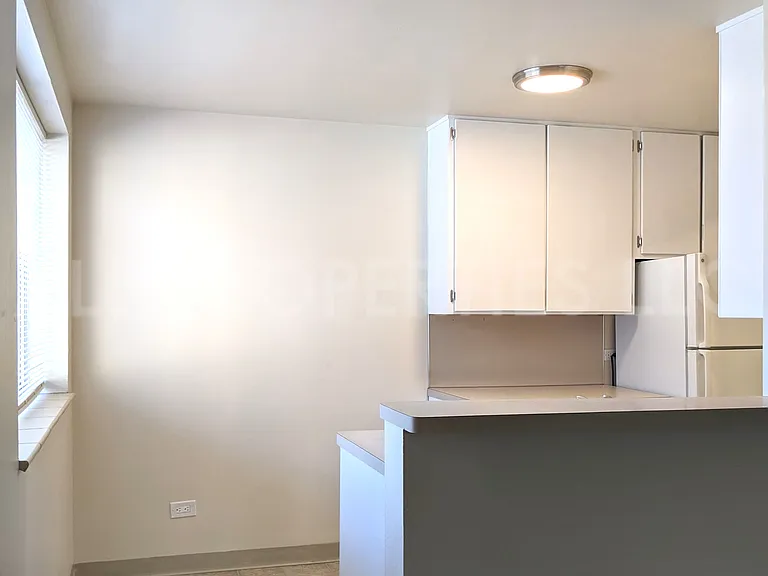 1200 N Emerson St #204 — Photo 13