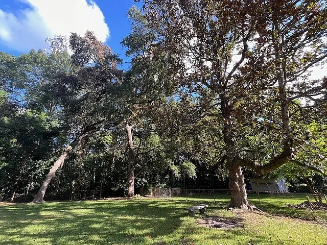 large grassy back yard - fenced