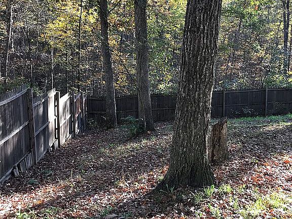Back fenced in area 