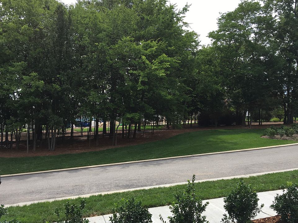 View from the porch. 
