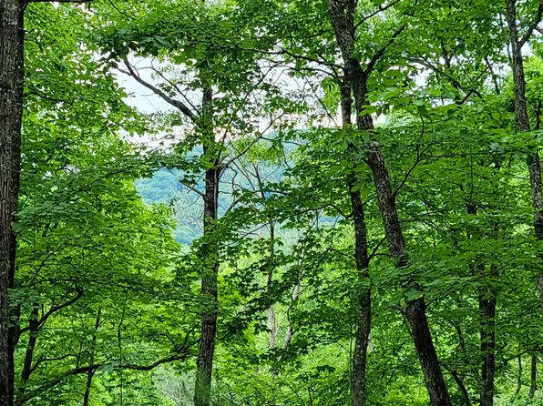 31 Whisperwood Rd, Hiawassee, GA 30546