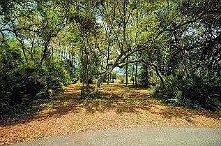 1st image of 111 New Hammock Cir