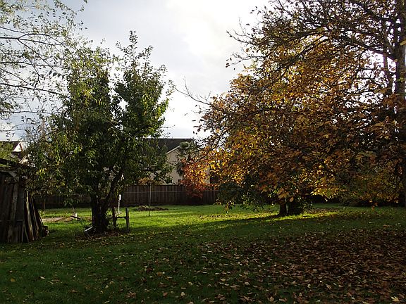 back yard 150' x 150'