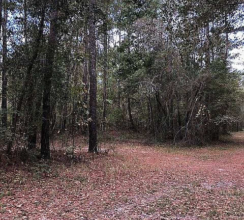 4th image of 203 River Woods Dr
