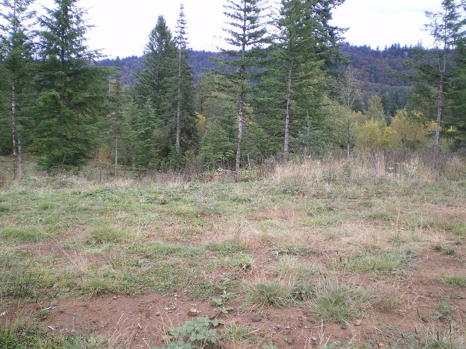 2nd image of 6 Thompson Dr