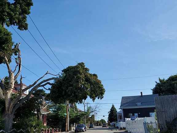 4th image of 336 Laurel Hill Ave