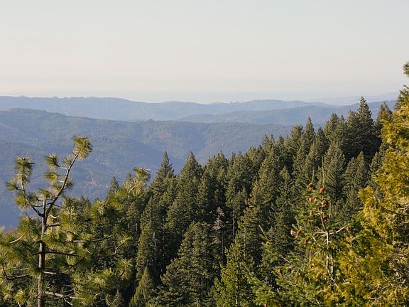 5th image of 36 Mile Route Rd #1