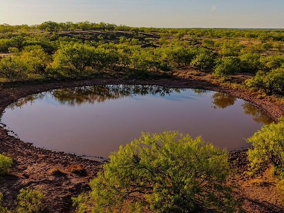Walker Road Ranch, mature mesquite trees, hardwood trees, ponds, native grasses, electric