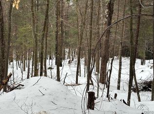 36 Deerwood Dr #1, Inlet, NY 13360