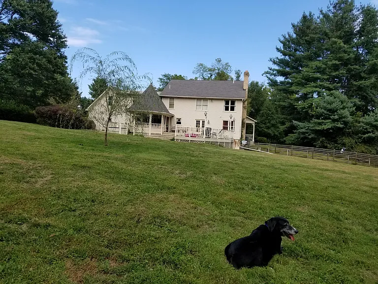 Brink Ct — Photo 17