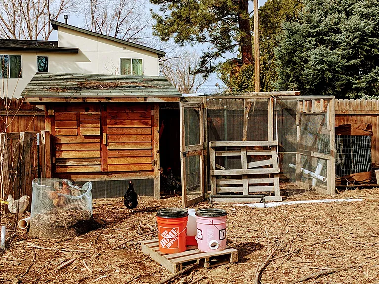 4310 W Clark St — Photo 10