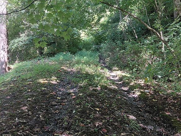 4th image of 1600 Coopers Creek Rd