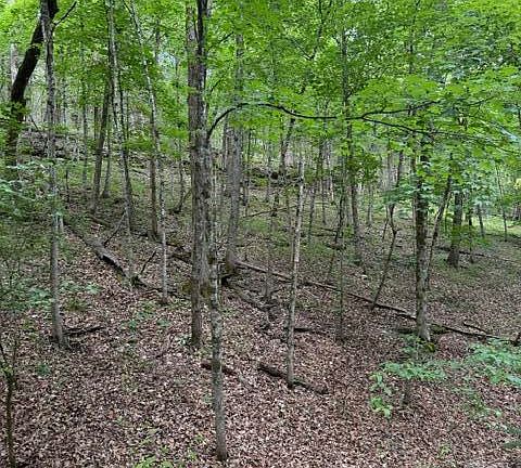 2nd image of 000 Oak Thicket Lane