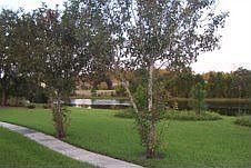 A wonderful View to welcome you HOME!