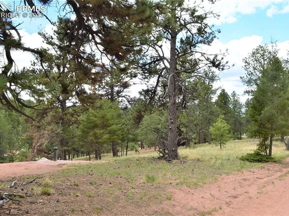 698 Pinewood Rd, Florissant, CO 80816