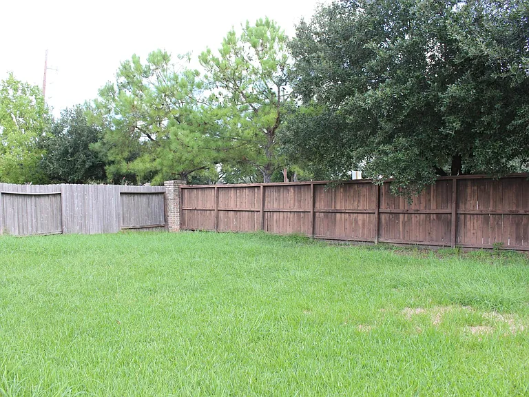 enormous green back yard