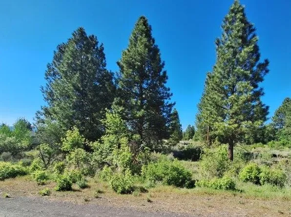 Shoreview Drive 9 Lot 18, Chiloquin, OR 97624