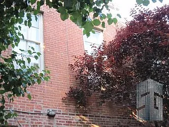 Rented by Skyline Group Real Estate