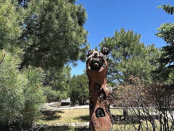 A most amazing totem pole