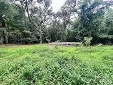 219 Maple St, Fort Mill, SC, 29715