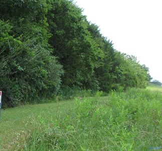 2038 Highway 157, Danville, AL, 35619