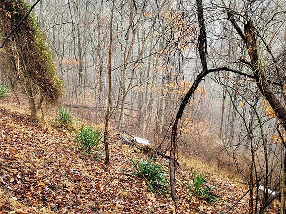3rd image of 318 Wilderness Ln