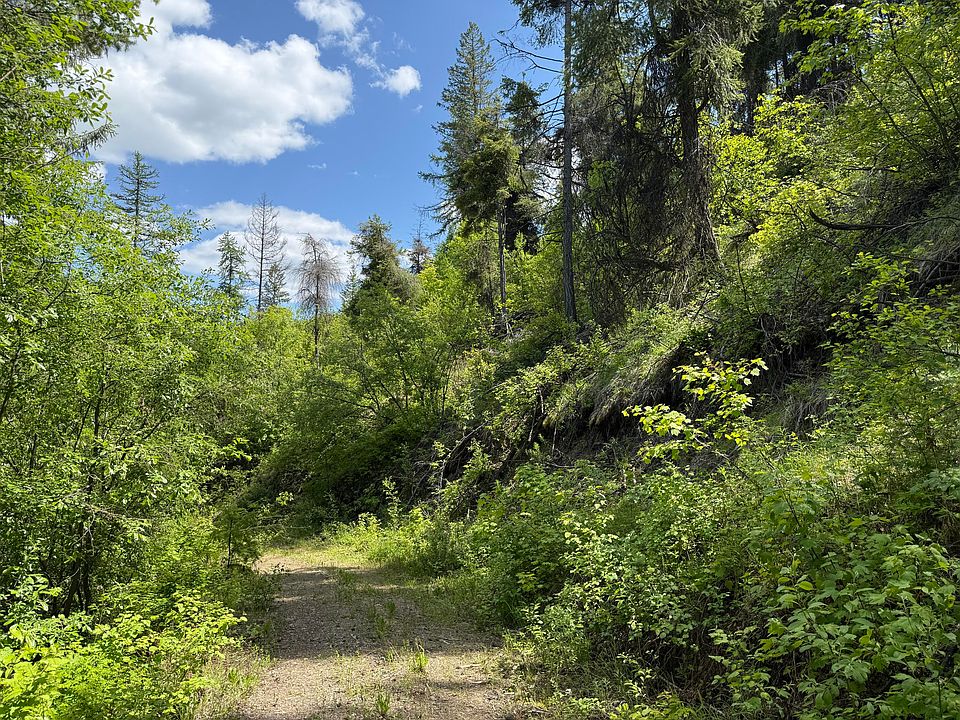 16th image of 3774C Daisy Mine Rd