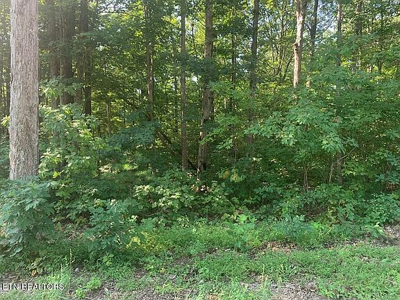 3rd image of Evening Shade Ln