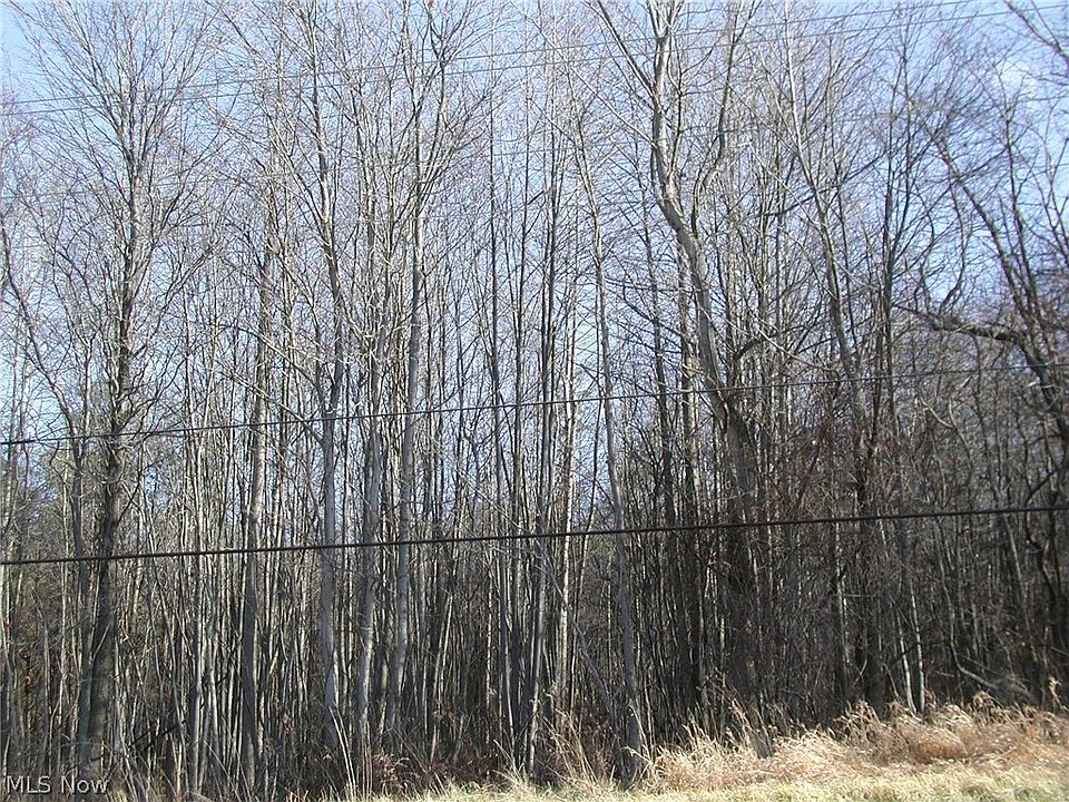 2nd image of Scio Rd