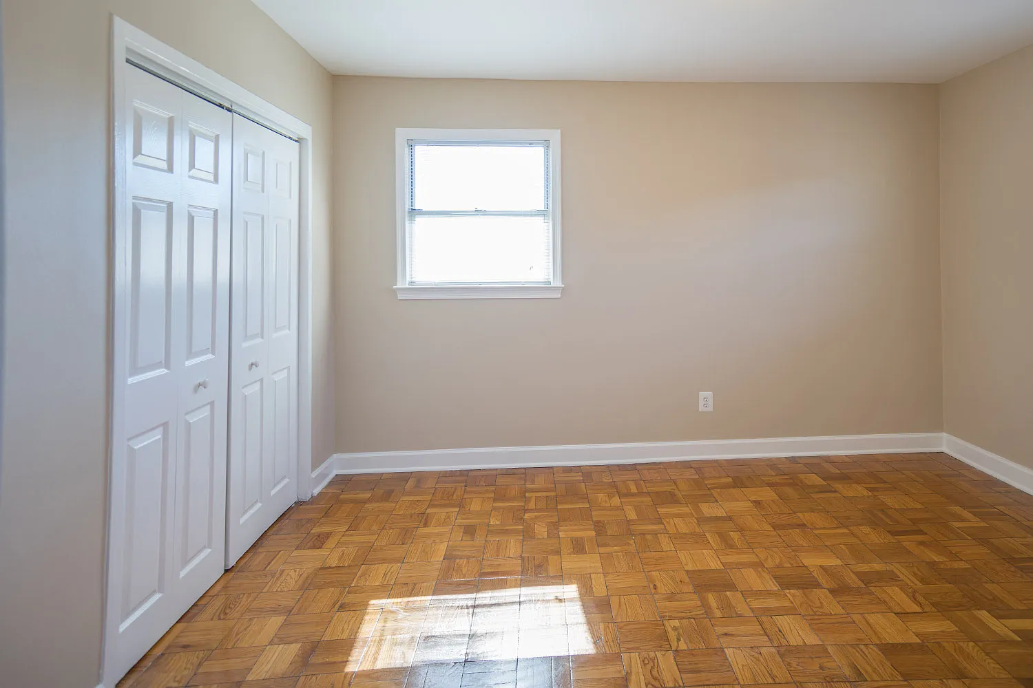 The Taylor — Photo 4