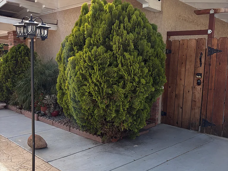 L Ave — Photo 10