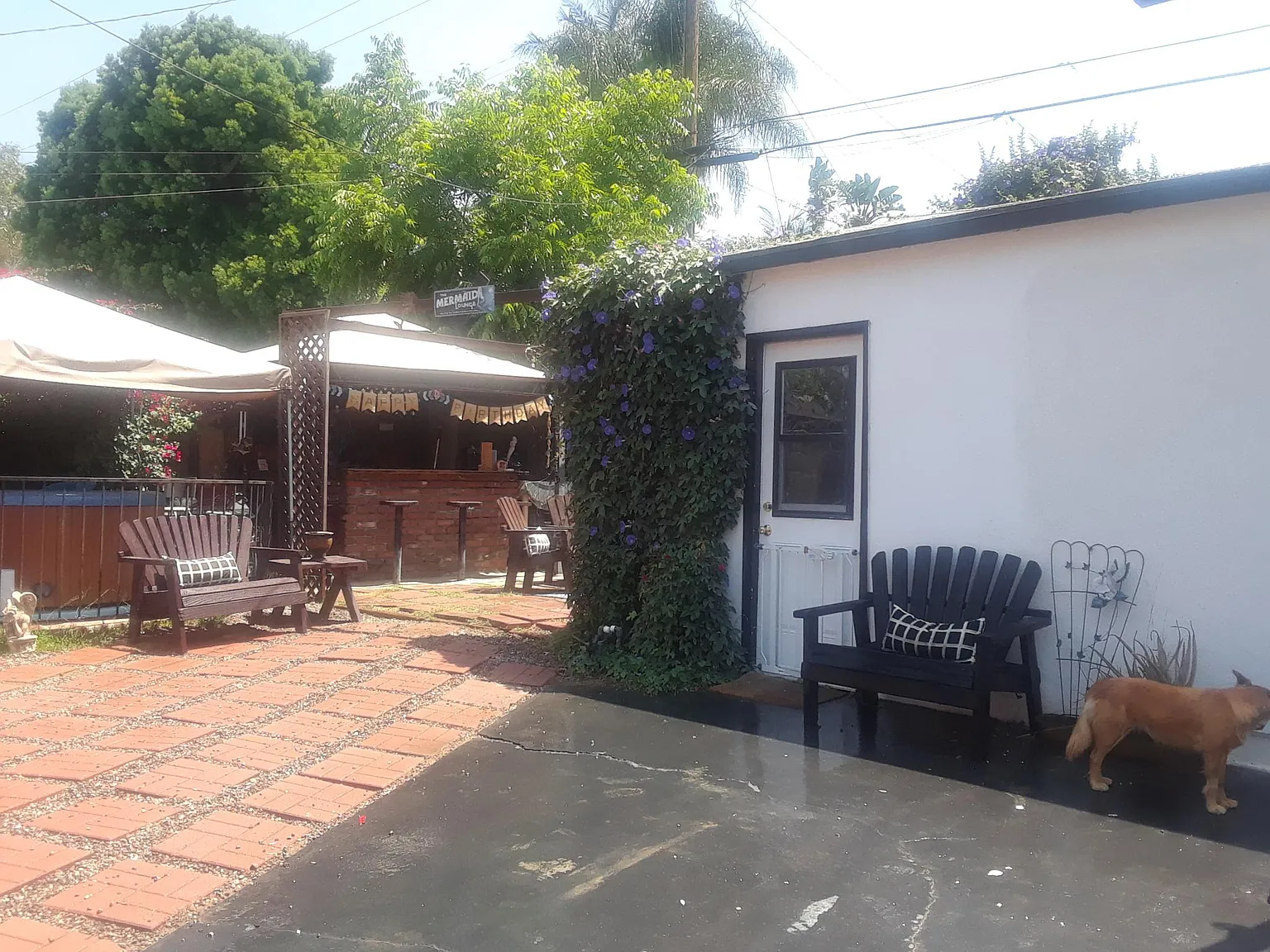 2 bed, 700 sqft, $2,900 — Photo 1