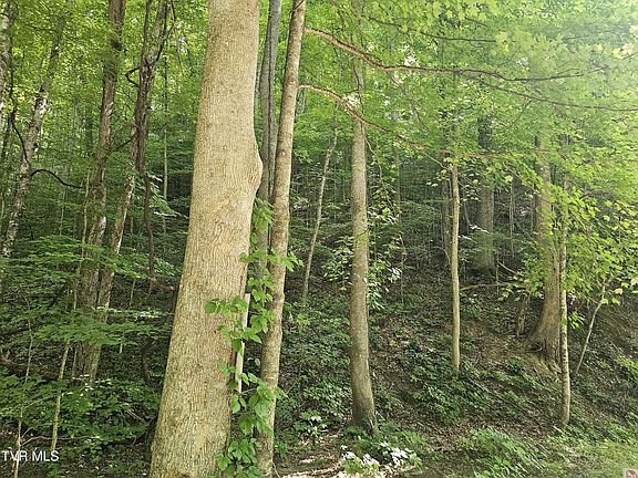 4th image of Indian Creek Rd