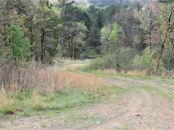 (undisclosed Address), Magazine, AR 72943