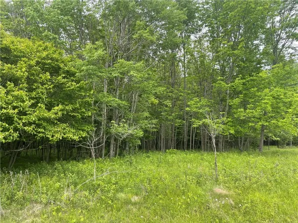 Lot 2 Margaret Lane, Park Falls, WI 54552
