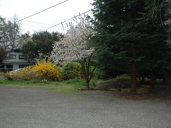 2nd image of 1256 Stewart Ave