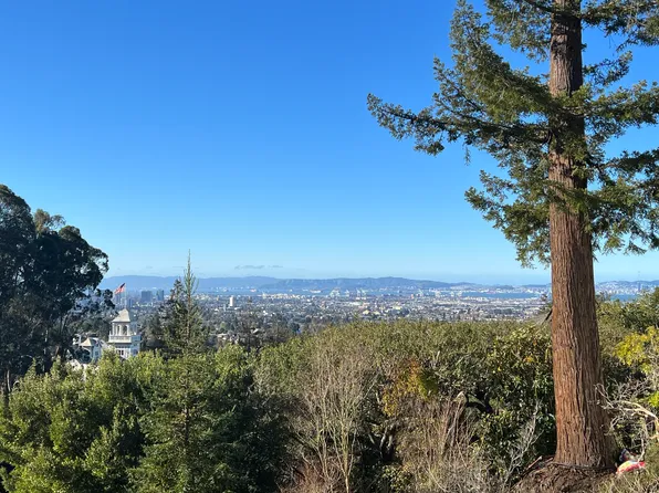 260 Stonewall Rd, Berkeley, CA 94705