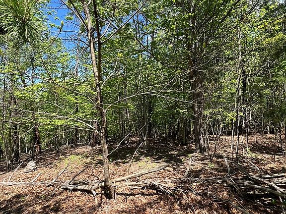 3rd image of 0 Lakeland Dr
