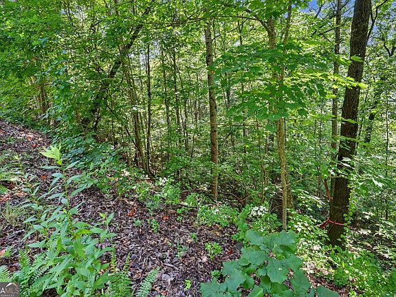 4th image of 0 Waterfall Dr #5D