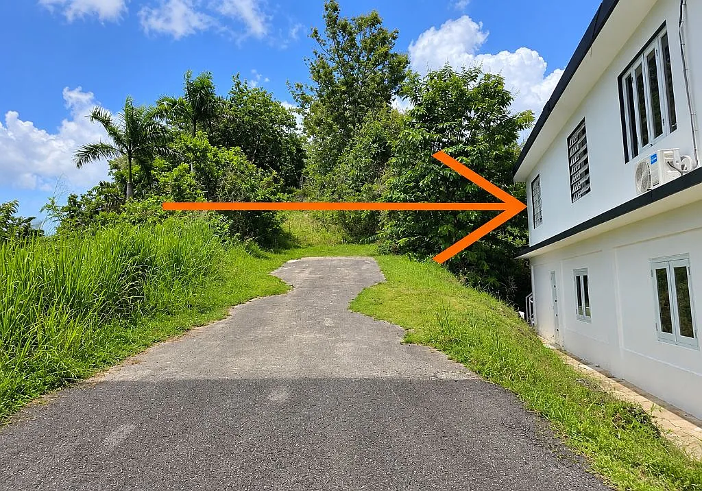 2 bed, 1.0 bath, 500 sqft, $800 — Photo 3