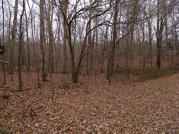 4th image of Dogwood Cir