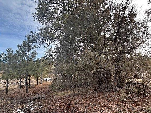 5th image of 1046 Crooked Road