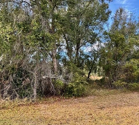 4th image of 195 LAKE MOLLY AVENUE LOT 1