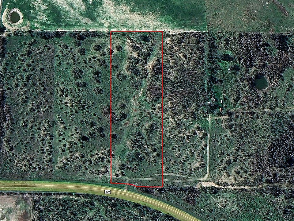 1st image of Fm 339