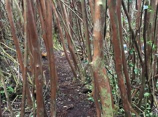 LOT 136 Lot 136, Pahoa, HI 96778